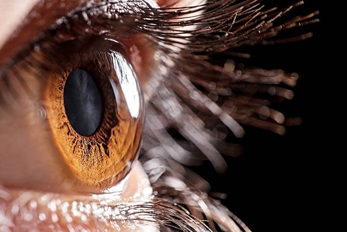 Closeup of a Cornea